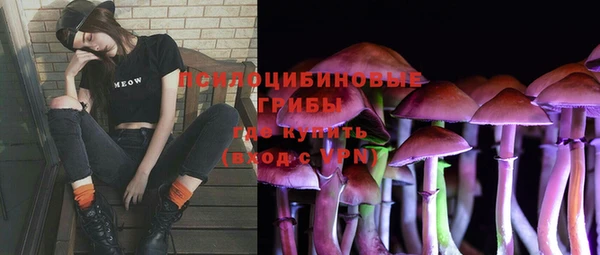 эйфоретик Няндома