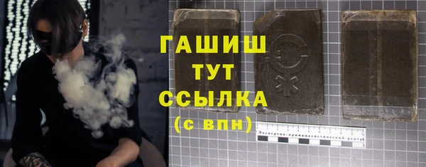 эйфоретик Няндома