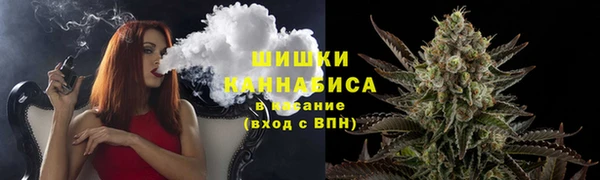 эйфоретик Няндома