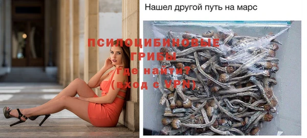 эйфоретик Няндома