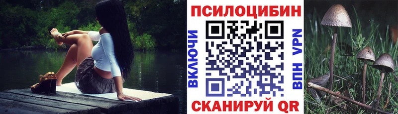 МЕГА как войти  Чегем  Псилоцибиновые грибы мицелий 